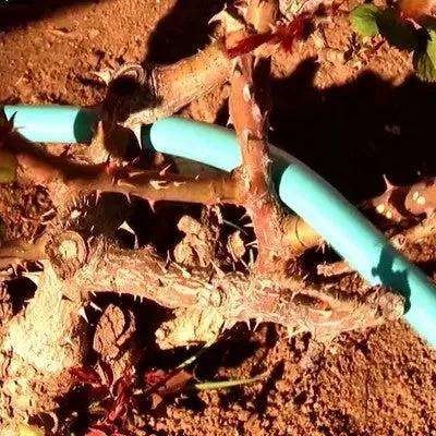 BERNINI  50' No-Kink Lite Chroma Outdoor Metal Garden Hose - Turquoise Blue